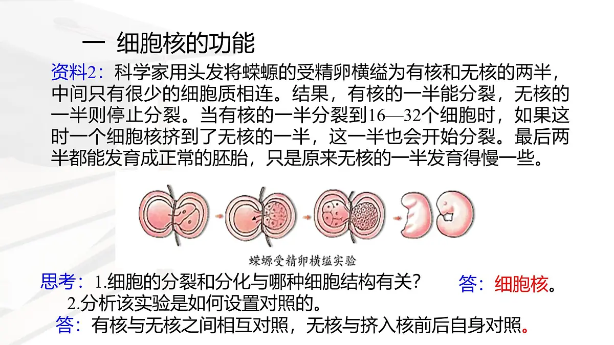 人教版高中生物必修1 3-3《 细胞核的结构和功能 》课件第6页