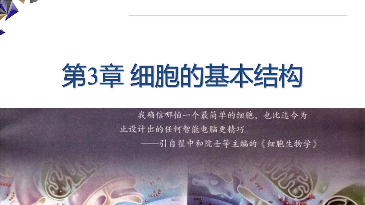 人教版高中生物必修1 3-3《 细胞核的结构和功能》课件第1页
