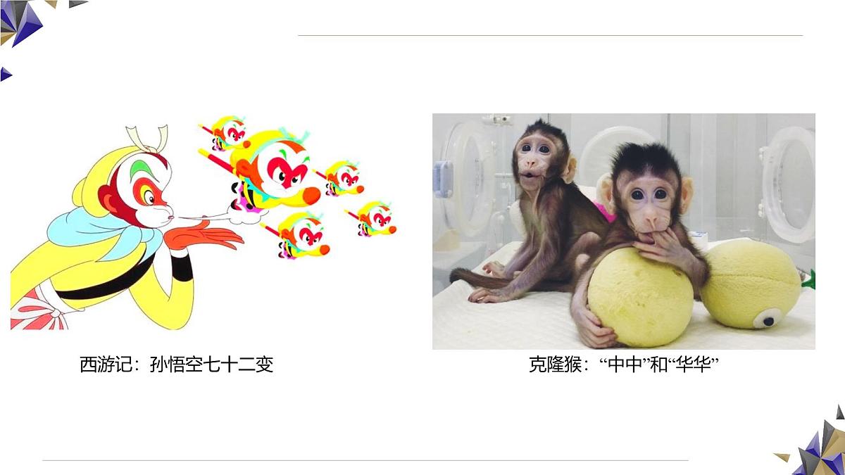人教版高中生物必修1 3-3《 细胞核的结构和功能》课件第2页