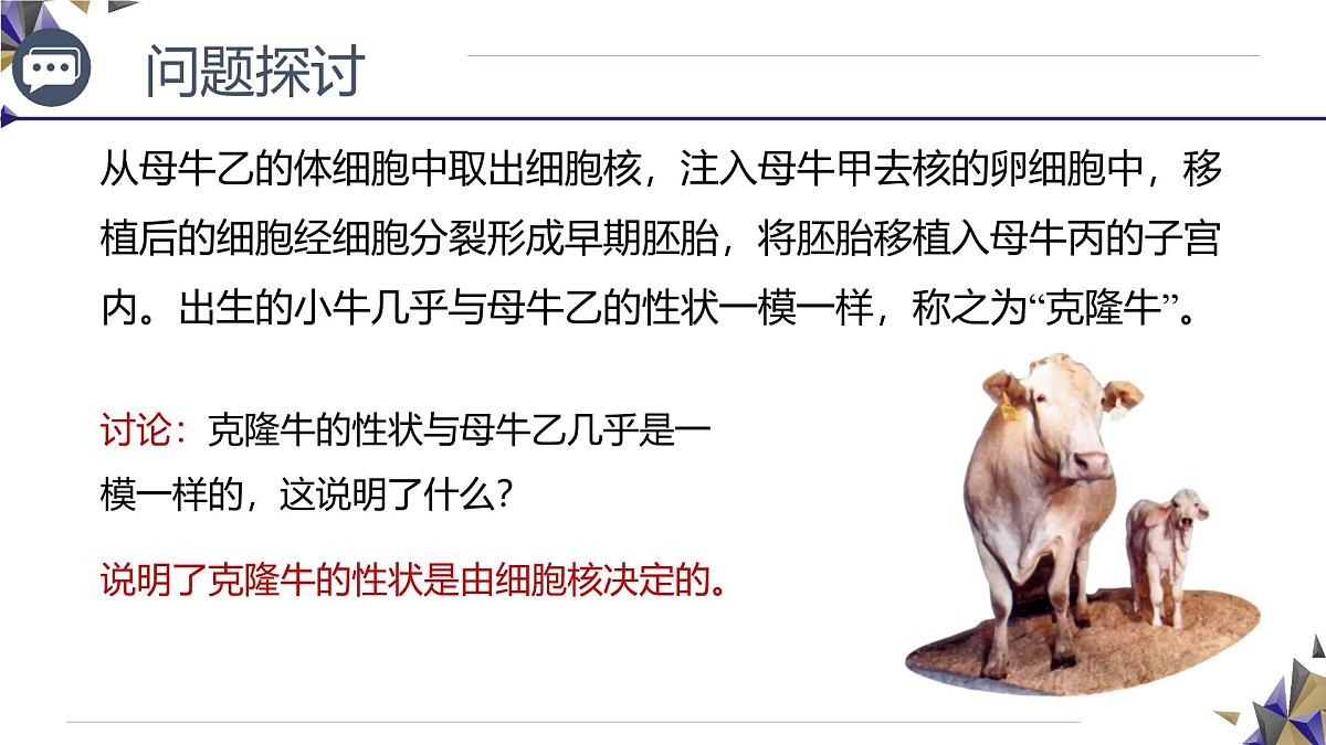 人教版高中生物必修1 3-3《 细胞核的结构和功能》课件第4页