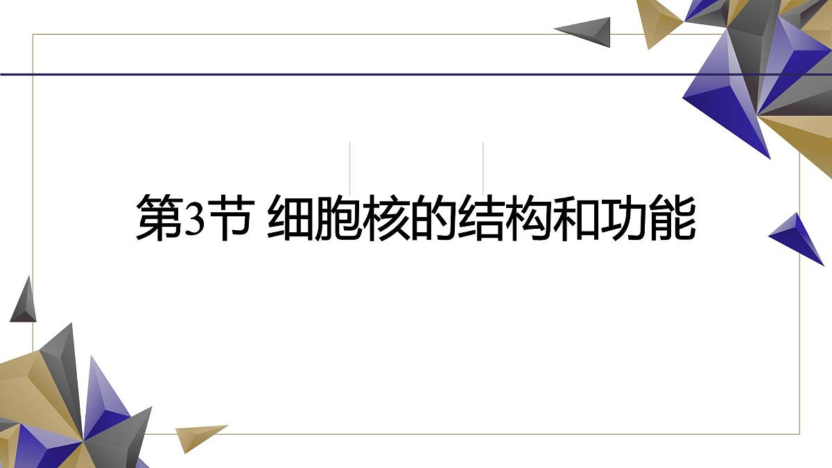 人教版高中生物必修1 3-3《 细胞核的结构和功能》课件第5页