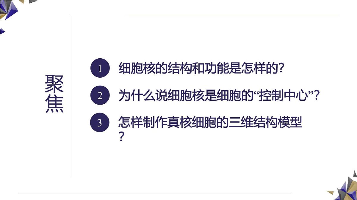 人教版高中生物必修1 3-3《 细胞核的结构和功能》课件第6页