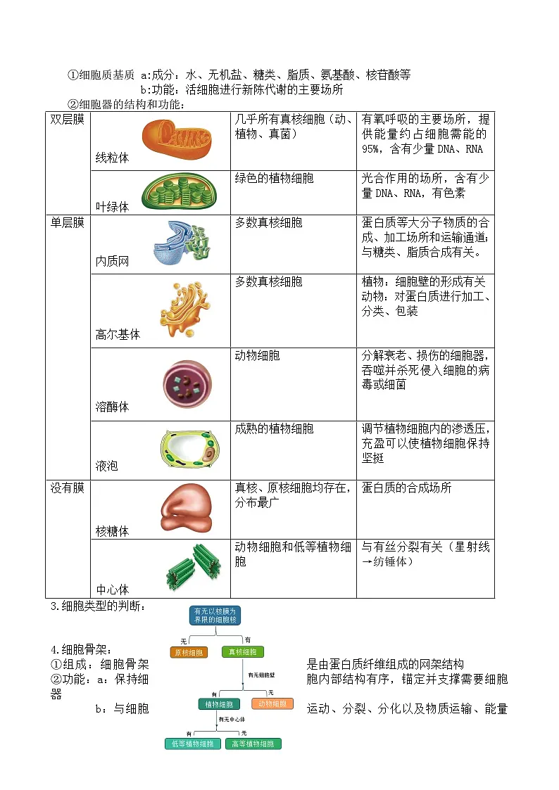 人教版高中生物必修1第3章 细胞的基本结构-章节知识和试题培优练 无答案第2页