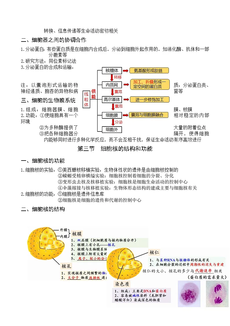人教版高中生物必修1第3章 细胞的基本结构-章节知识和试题培优练 无答案第3页