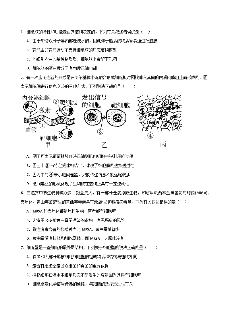 人教版高中生物必修1第3章 细胞的基本结构 达标检测题 无答案第2页