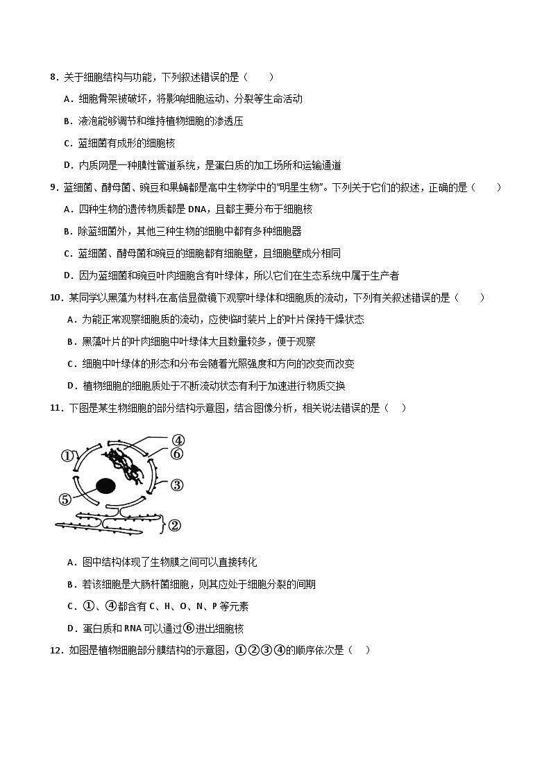 人教版高中生物必修1第3章 细胞的基本结构 达标检测题 无答案第3页