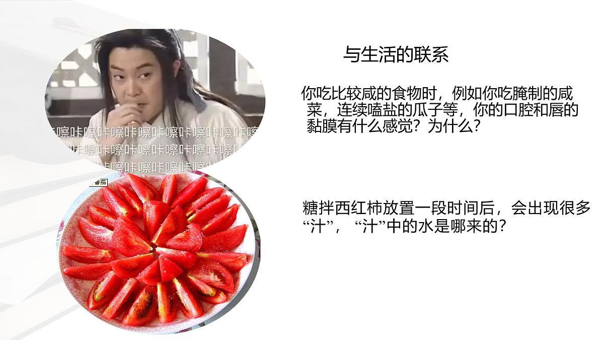 人教版高中生物必修1 4-1《被动运输 课件》课件第2页