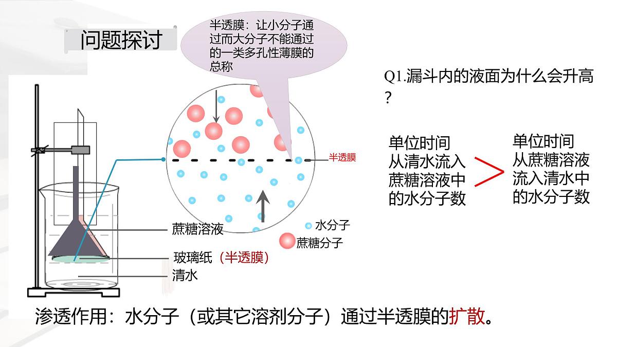 人教版高中生物必修1 4-1《被动运输 课件》课件第3页