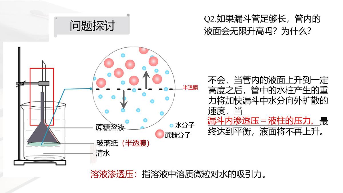 人教版高中生物必修1 4-1《被动运输 课件》课件第4页