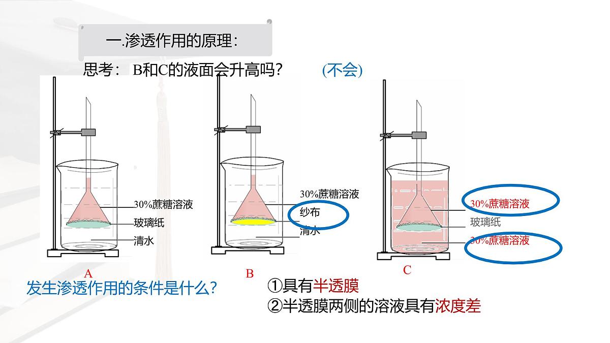 人教版高中生物必修1 4-1《被动运输 课件》课件第5页