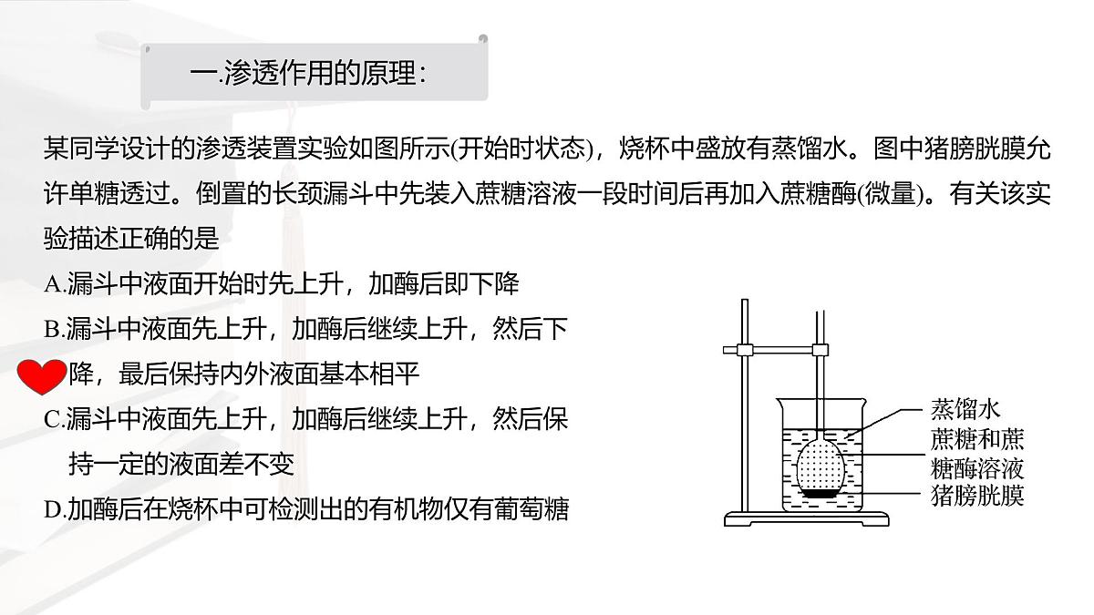 人教版高中生物必修1 4-1《被动运输 课件》课件第7页