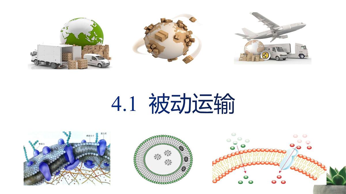人教版高中生物必修1 4-1《被动运输》教学课件第1页