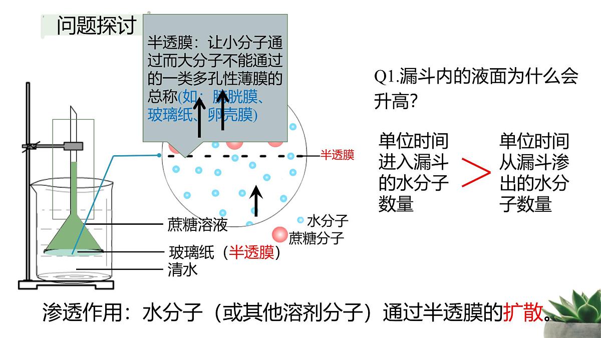 人教版高中生物必修1 4-1《被动运输》教学课件第2页