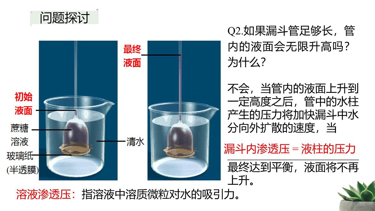 人教版高中生物必修1 4-1《被动运输》教学课件第3页