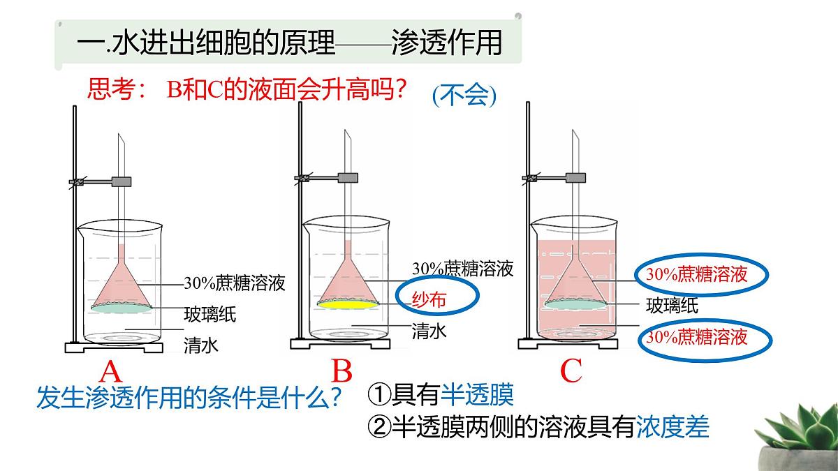 人教版高中生物必修1 4-1《被动运输》教学课件第4页