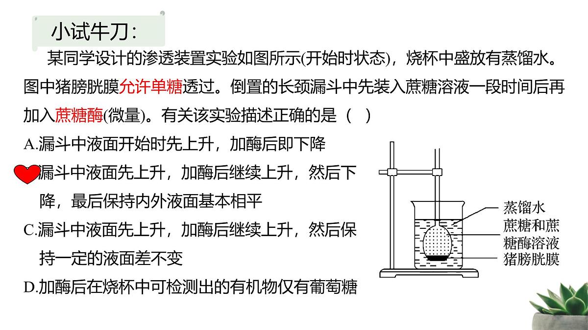 人教版高中生物必修1 4-1《被动运输》教学课件第6页