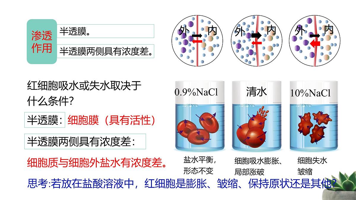 人教版高中生物必修1 4-1《被动运输》教学课件第8页