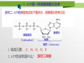 人教版高中生物必修1 5-2《细胞的能量“货币”ATP》第1课时 教学课件