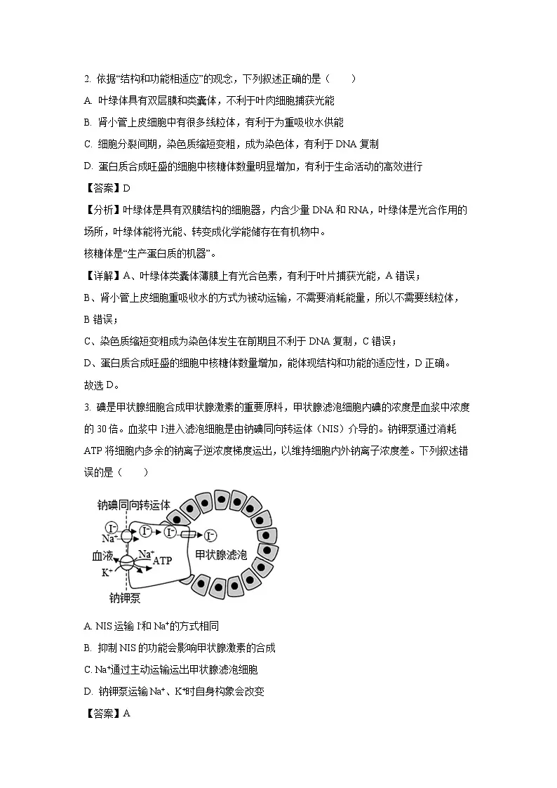 【生物】陕西省安康市教育联盟2023-2024学年高一下学期期末考试试题（解析版）第2页