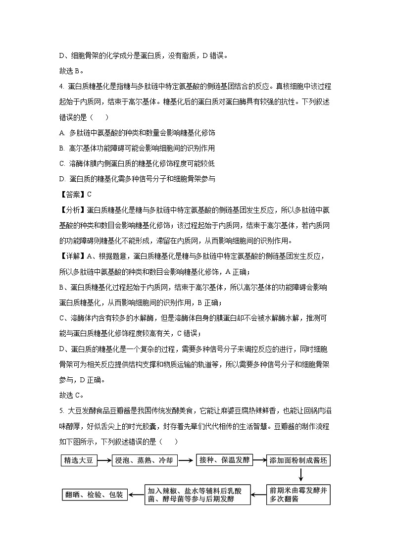 【生物】广东省东莞市五校2024-2025学年高二下学期5月联考（解析版）第3页