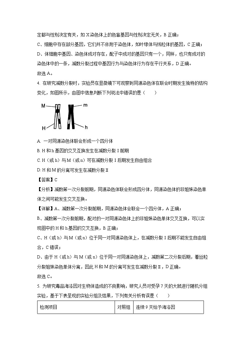 【生物】湖北省问津联盟2024-2025学年高一下学期5月月考试题（解析版）第3页