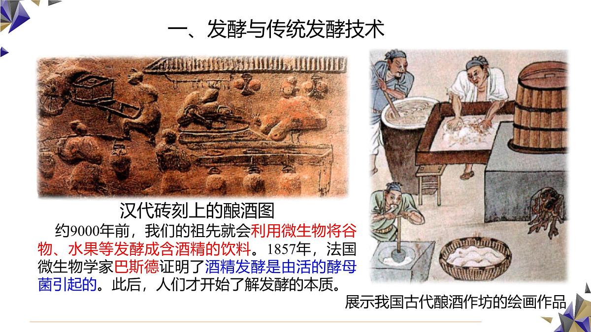 人教版高中生物选修3 1-1《传统发酵技术的应用》课件第3页