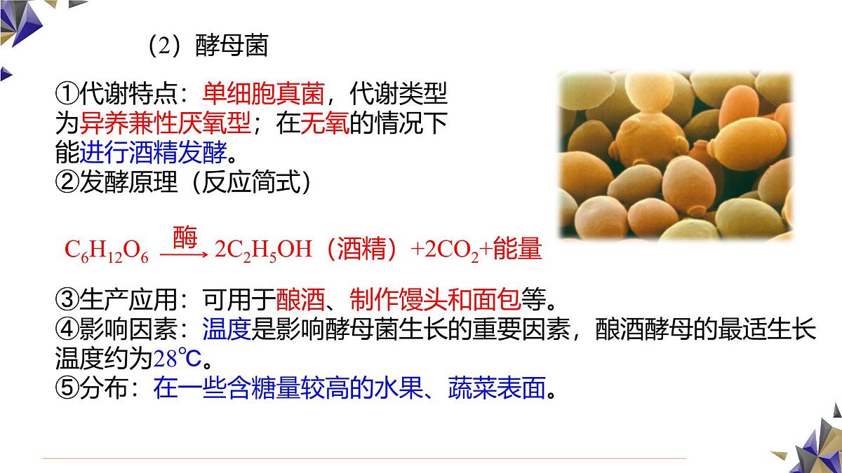 人教版高中生物选修3 1-1《传统发酵技术的应用》课件第7页