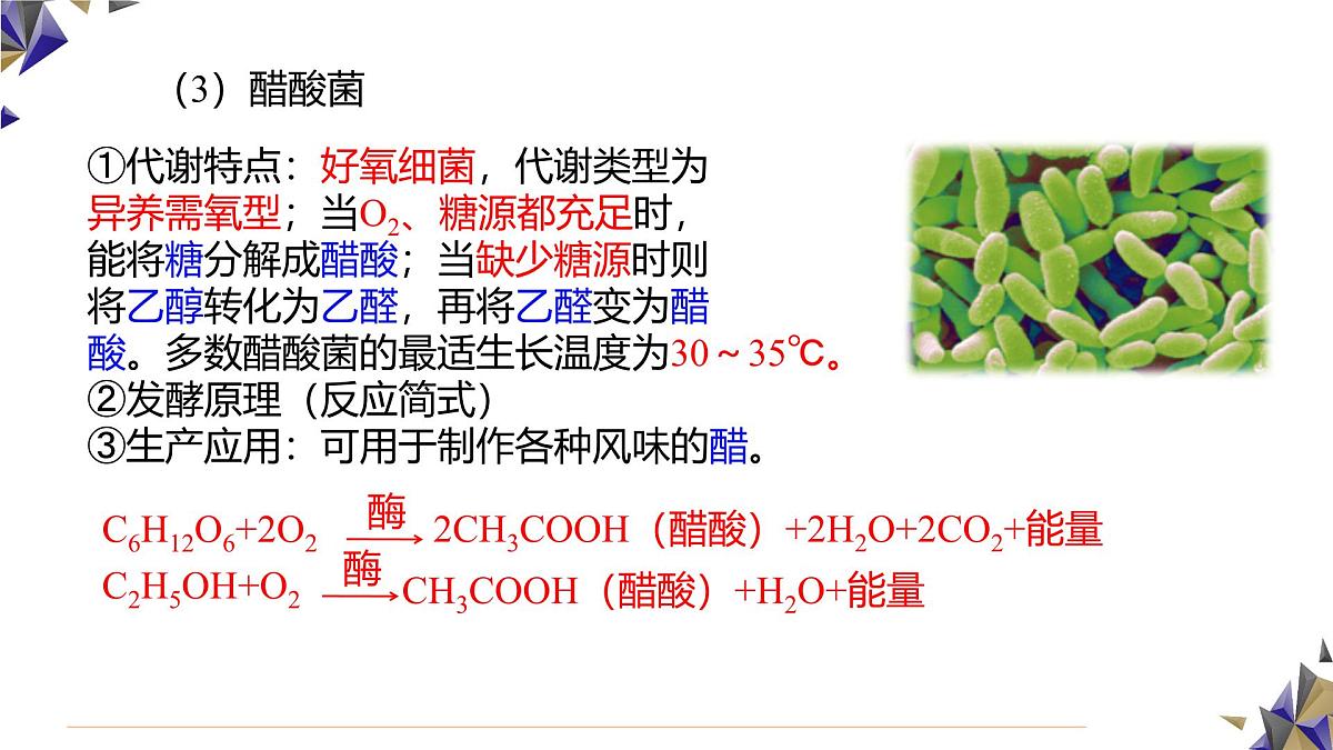 人教版高中生物选修3 1-1《传统发酵技术的应用》课件第8页