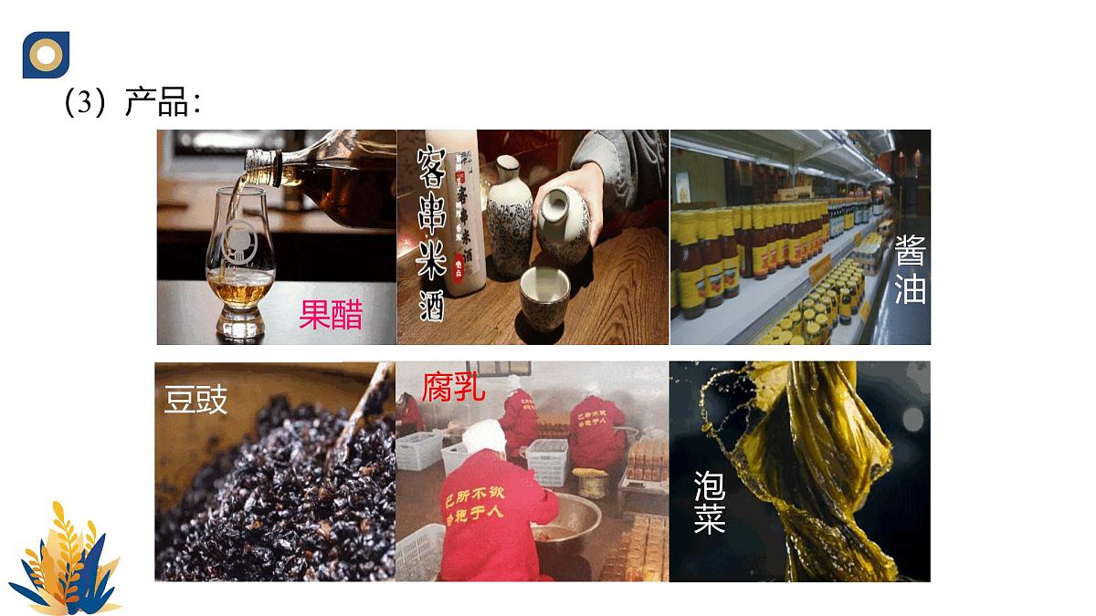 人教版高中生物选修3 1-1《传统发酵技术的应用（第1课时）》教学课件2第7页