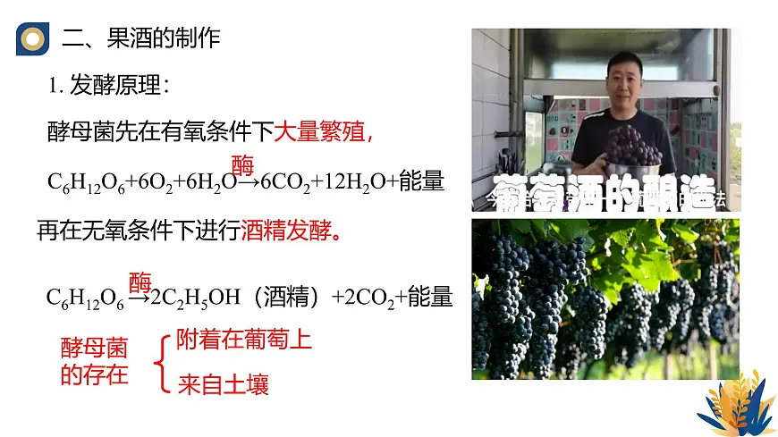 人教版高中生物选修3 1-1《传统发酵技术的应用（第2课时）》教学课件2第2页