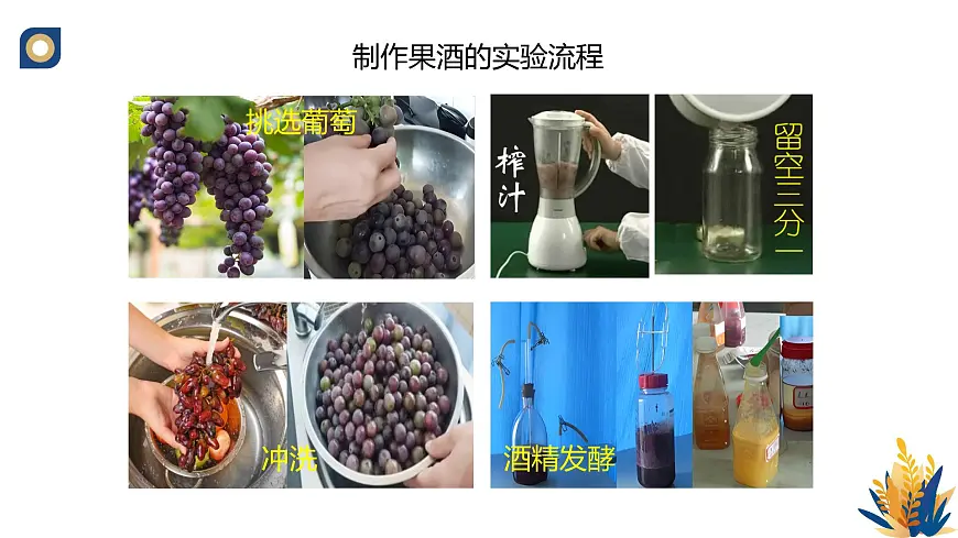 人教版高中生物选修3 1-1《传统发酵技术的应用（第2课时）》教学课件2第3页