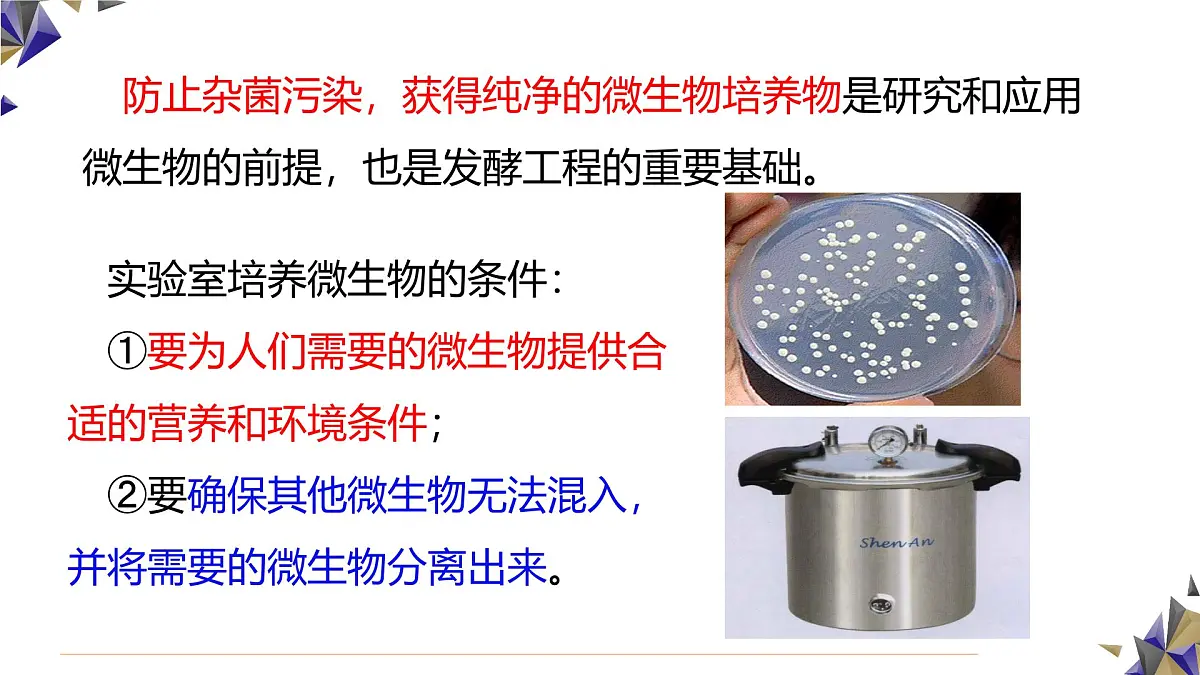人教版高中生物选修3 1-2《微生物的基本培养技术》第1课时 课件第4页