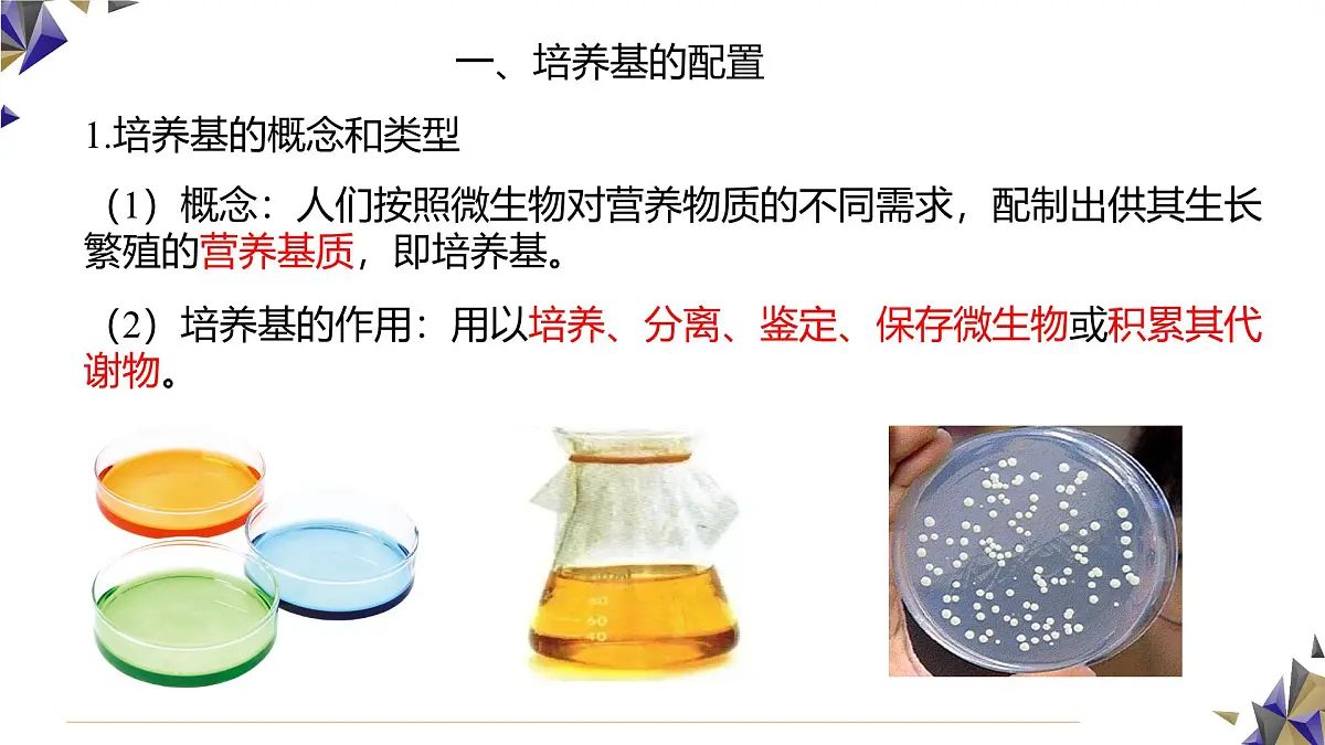 人教版高中生物选修3 1-2《微生物的基本培养技术》第1课时 课件第5页