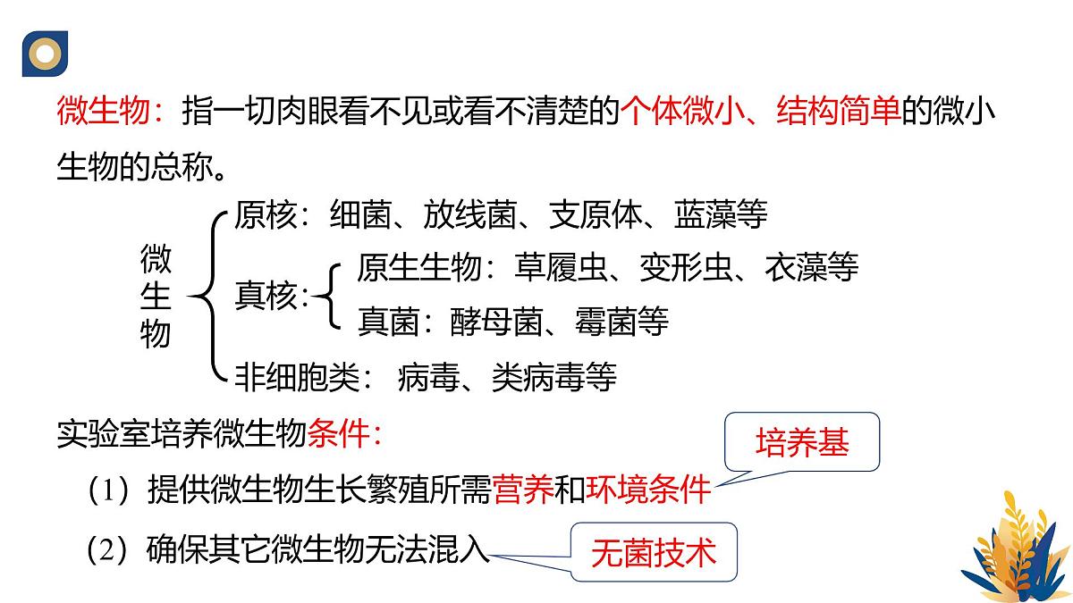人教版高中生物选修3 1-2《微生物的基本培养技术（第1课时）》教学课件第3页