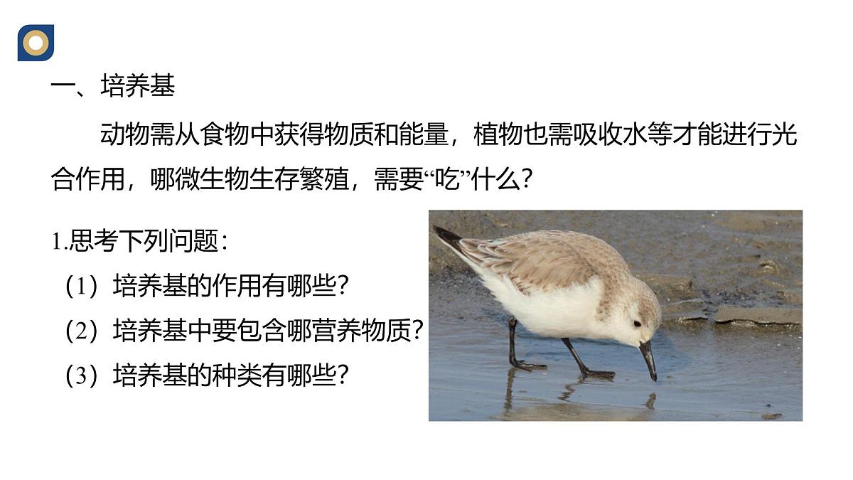 人教版高中生物选修3 1-2《微生物的基本培养技术（第1课时）》教学课件第4页