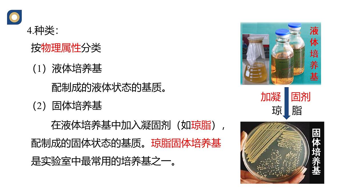 人教版高中生物选修3 1-2《微生物的基本培养技术（第1课时）》教学课件第7页