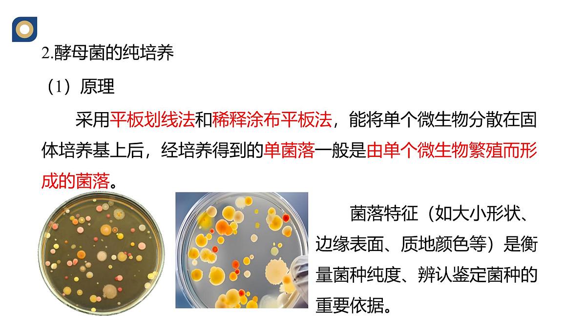 人教版高中生物选修3 1-2《微生物的基本培养技术（第2课时）》教学课件第2页