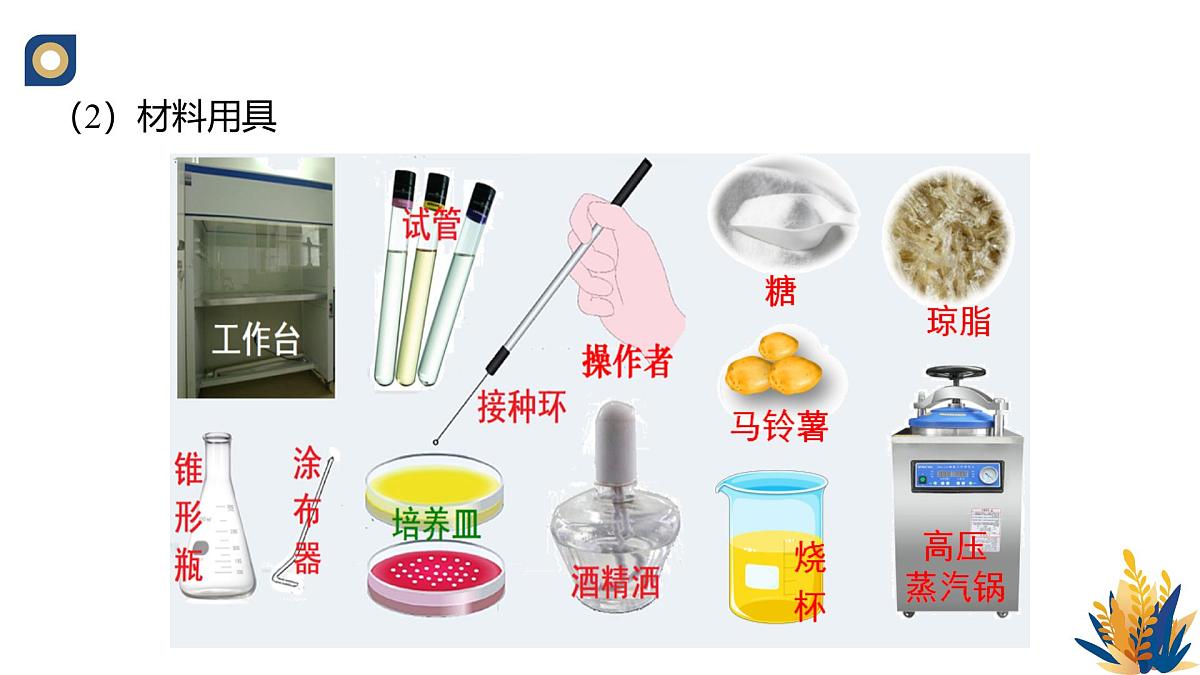 人教版高中生物选修3 1-2《微生物的基本培养技术（第2课时）》教学课件第3页