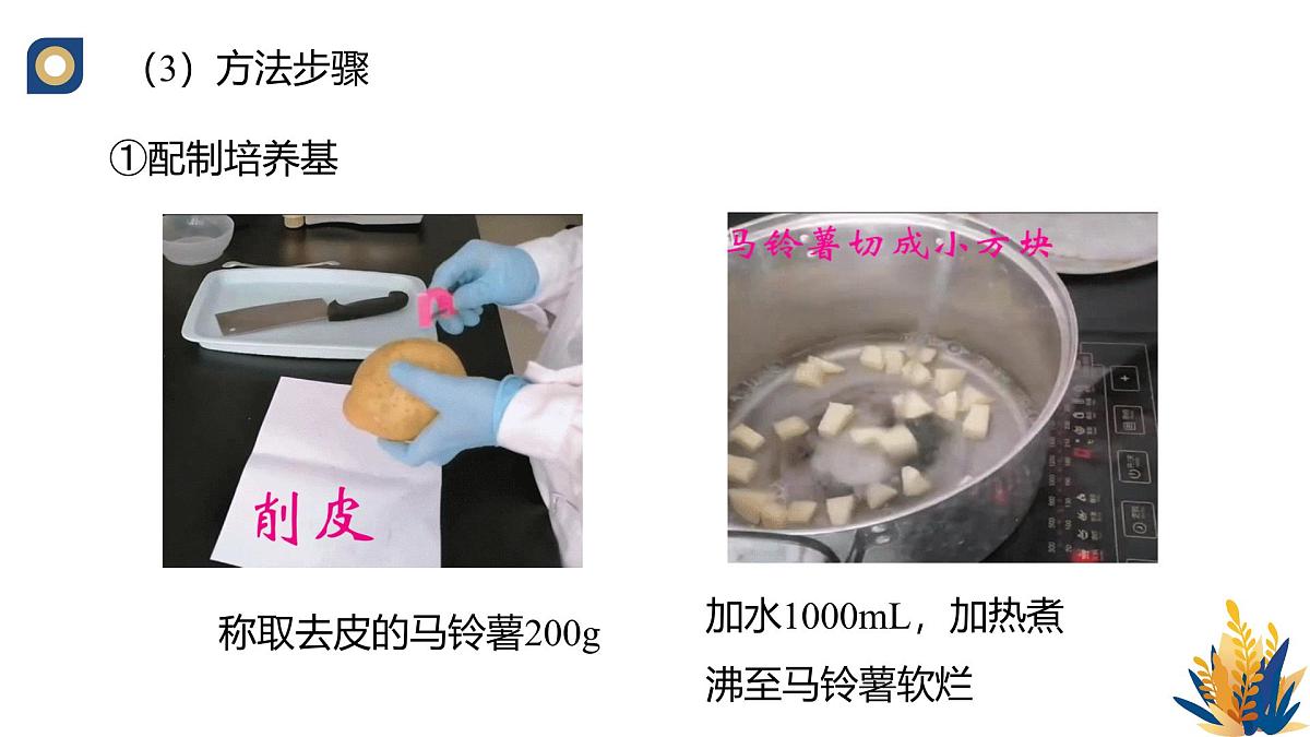 人教版高中生物选修3 1-2《微生物的基本培养技术（第2课时）》教学课件第4页