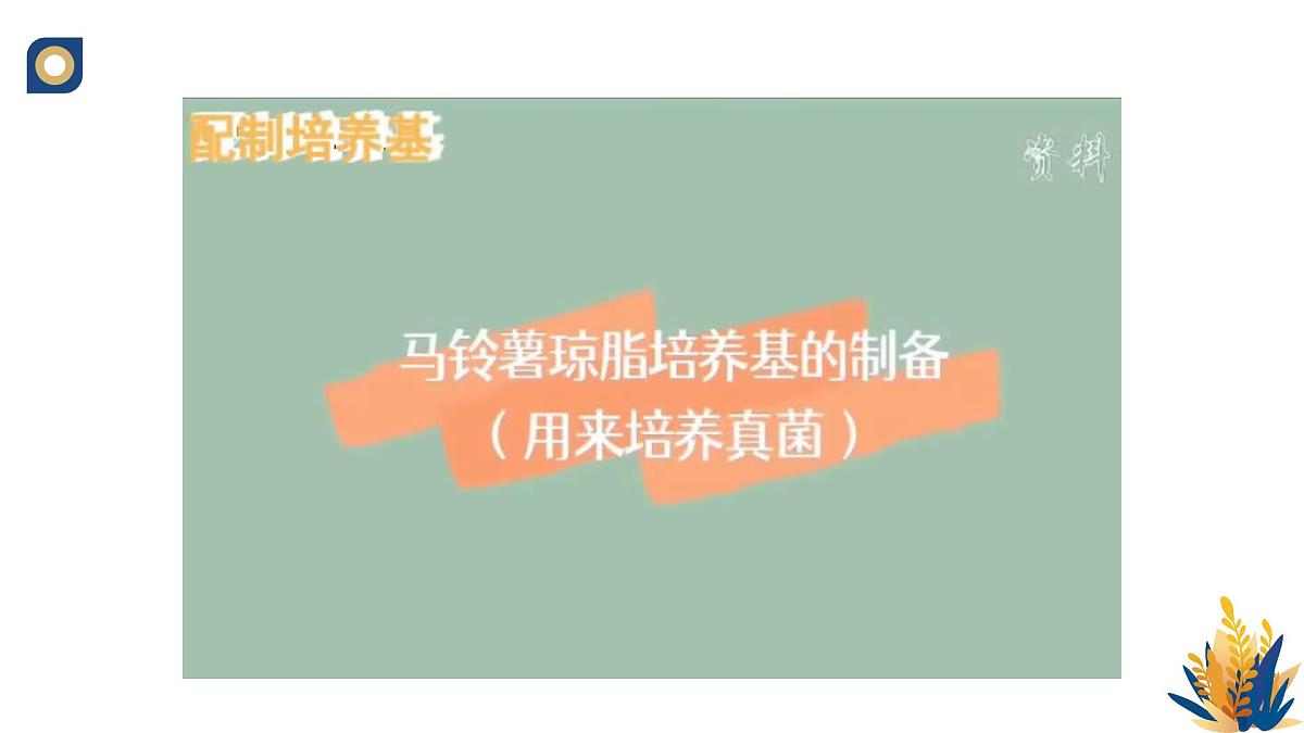 人教版高中生物选修3 1-2《微生物的基本培养技术（第2课时）》教学课件第5页