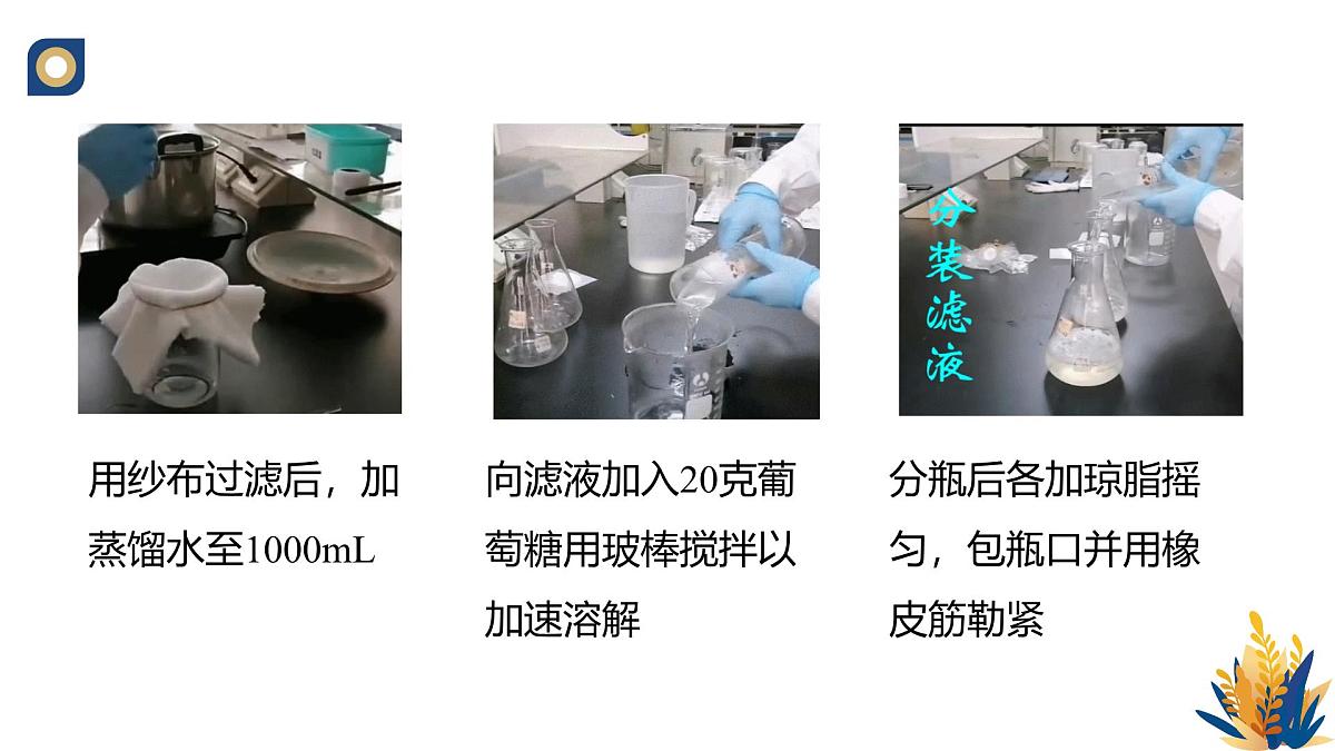 人教版高中生物选修3 1-2《微生物的基本培养技术（第2课时）》教学课件第6页