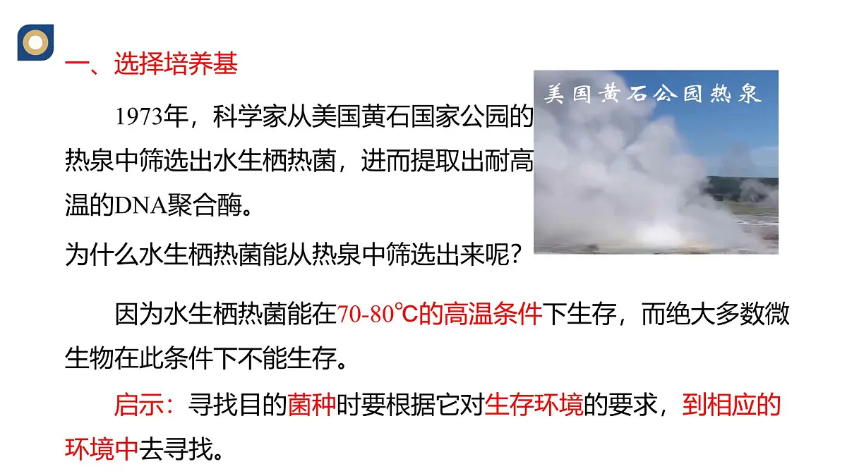 人教版高中生物选修3 1-2《微生物的选择培养与计数》教学课件第3页