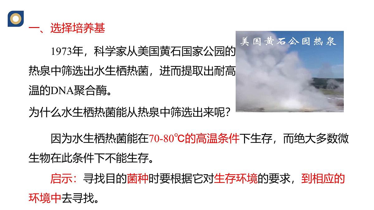 人教版高中生物选修3 1-2《微生物的选择培养与计数》教学课件第3页