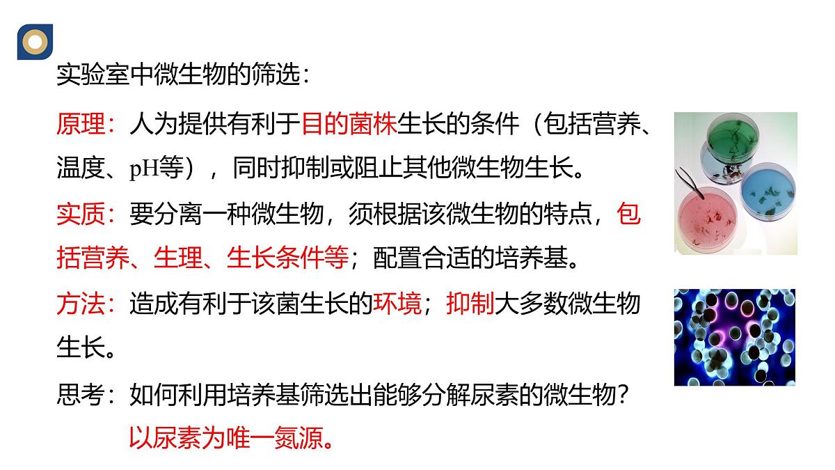 人教版高中生物选修3 1-2《微生物的选择培养与计数》教学课件第4页