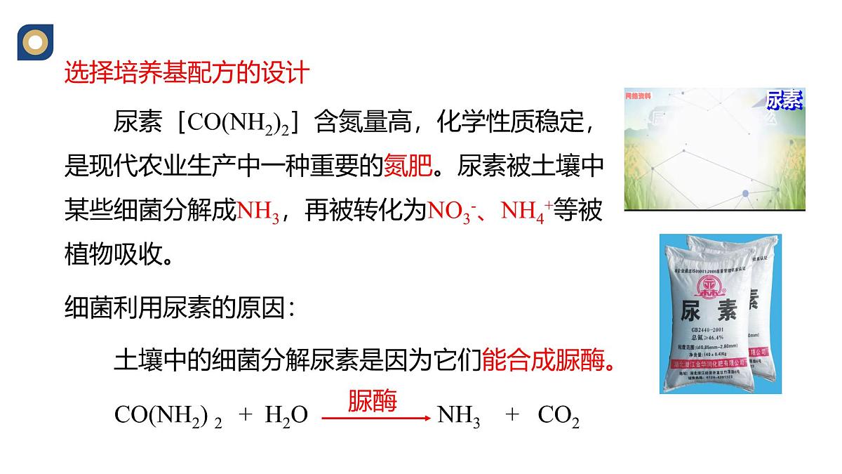 人教版高中生物选修3 1-2《微生物的选择培养与计数》教学课件第7页