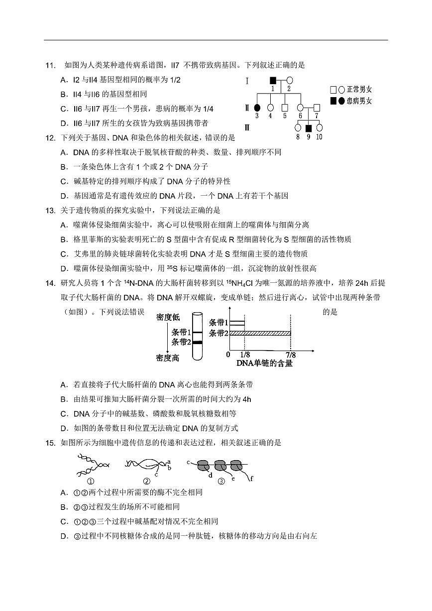 生物-四川省绵阳外国语学校2024-2025学年高一下学期期末模拟考试试题+答案第3页