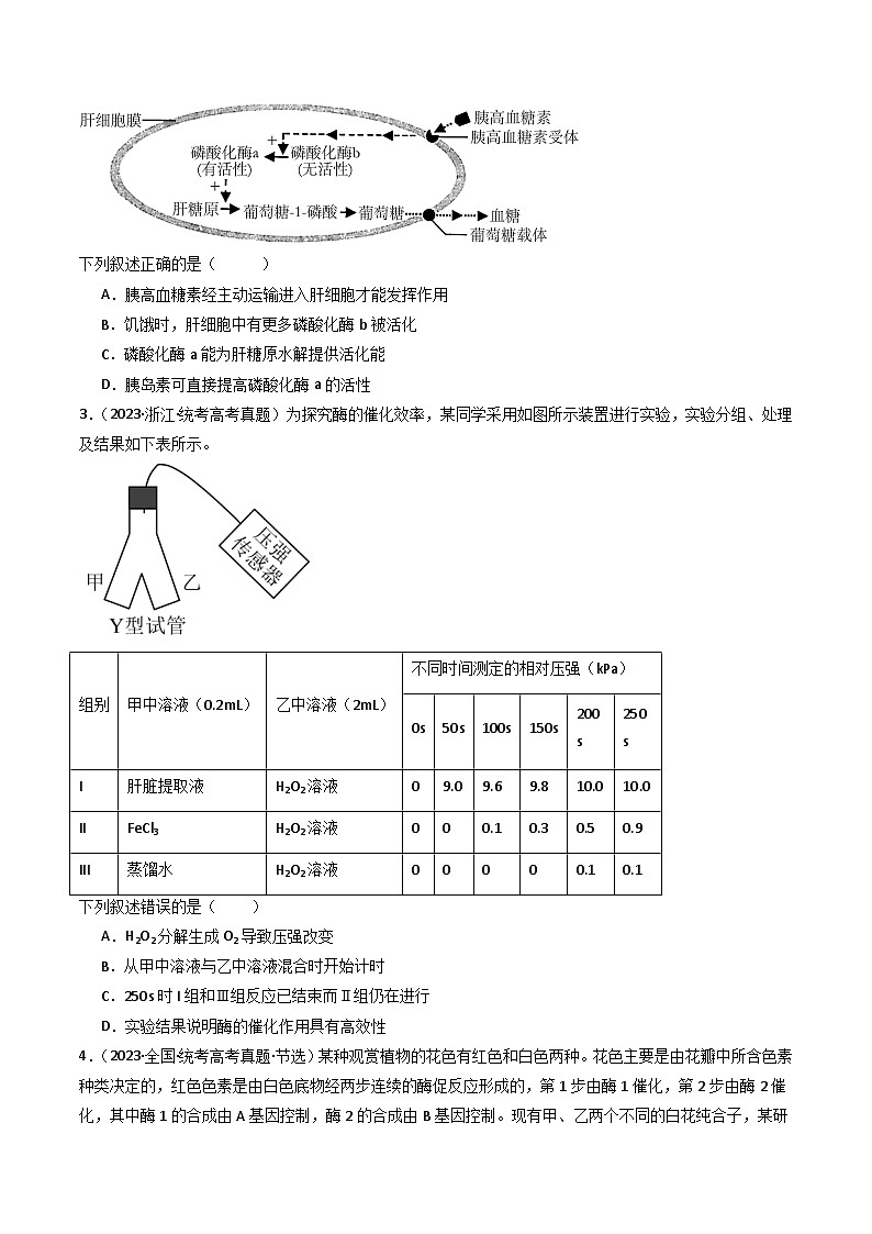 专题04 酶和ATP（原卷卷）第2页
