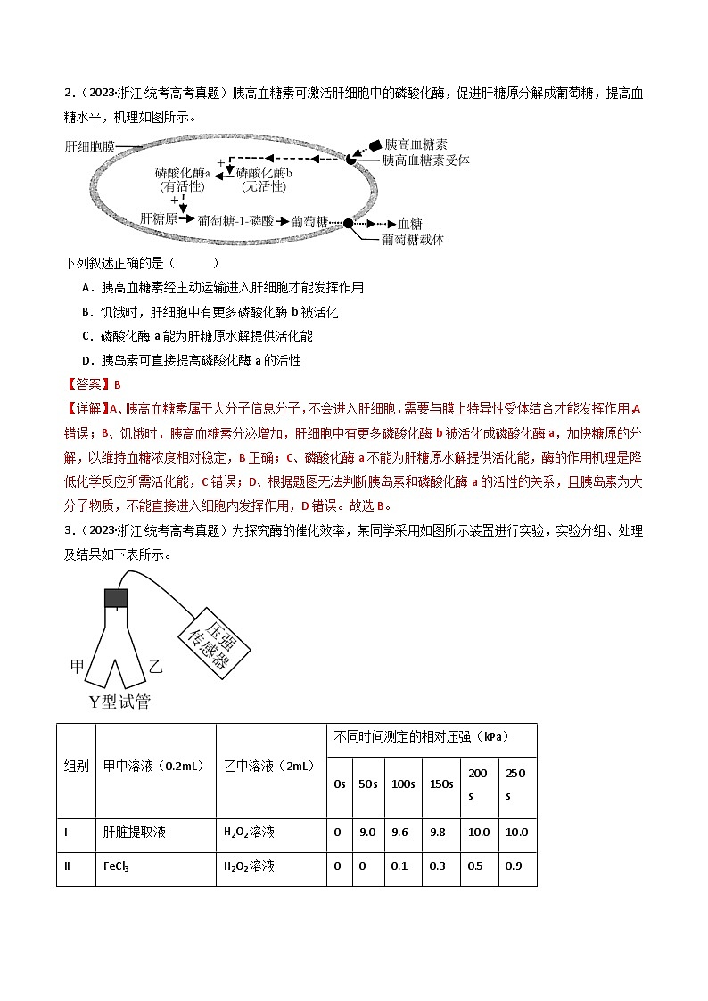 专题04 酶和ATP（解析卷）第2页