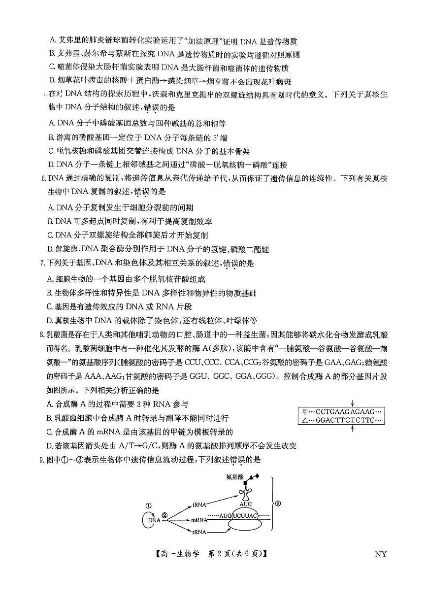河南省南阳市九师联盟（部分学校）2024-2025学年高一下学期期末质量检测联考 生物试题（含答案）第2页