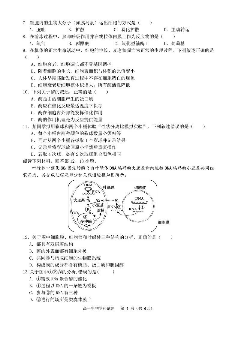 浙江省宁波市2025年高一下学期期末联考 生物试卷第2页